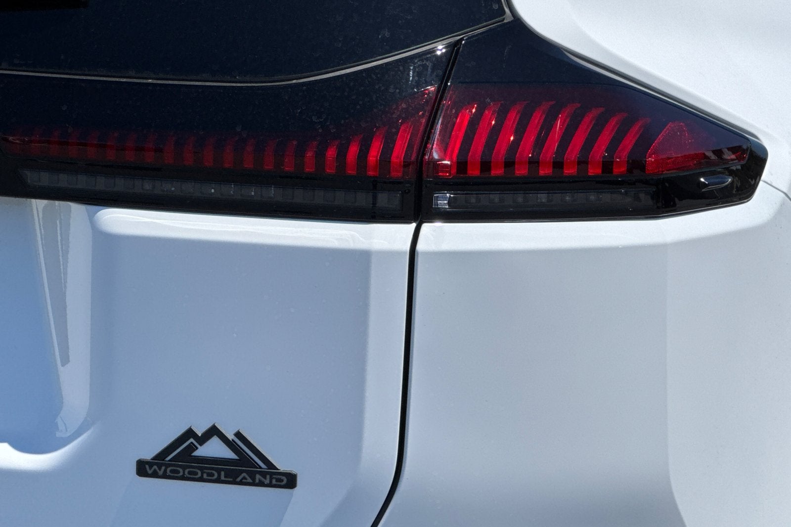 2026 Toyota RAV4 Woodland