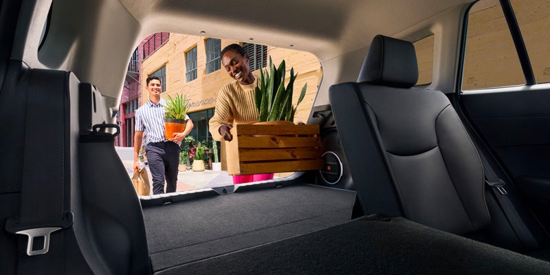El contenido generado por IA puede ser incorrecto. Una persona cargando una caja de plantas en un coche