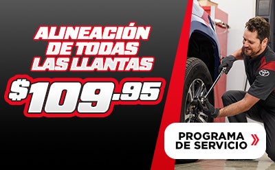 Programa De Servicio
