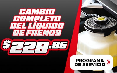 Programa De Servicio