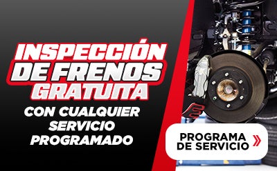 Programa De Servicio