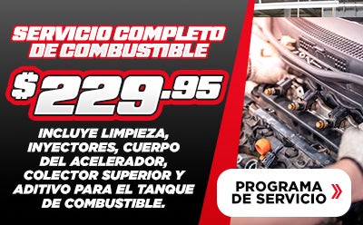 Programa De Servicio