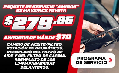 Programa De Servicio